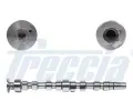 Vakov hdel FRECCIA ‐ FCC CM05-2214