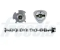 Vakov hdel FRECCIA ‐ FCC CM05-2246