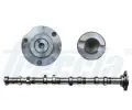 Vakov hdel FRECCIA ‐ FCC CM05-2257
