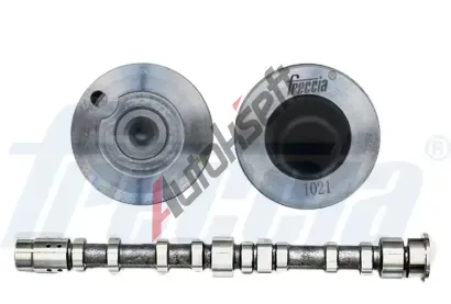 FRECCIA Vakov hdel FCC CM05-2274, CM05-2274