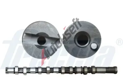 FRECCIA Vakov hdel FCC CM05-2299, CM05-2299