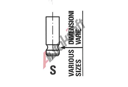 FRECCIA Sací ventil FCC R6562/SNT, R6562/SNT FRECCIA Sací ventil FCC R6562/SNT, R6562/SNT