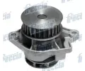FRECCIA Vodn� �erpadlo, chlazen� motoru&nbsp;&dash;&nbsp;FCC WP0266