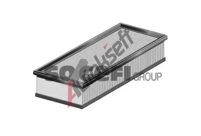FRAM Vzduchov filtr FF CA11068, CA11068