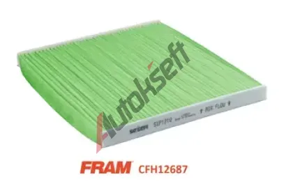 FRAM Filtr vzduchu v interiru CabinHepa+ FF CFH12687, CFH12687