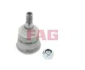 ep ramene FAG ‐ FG 825 0058 10