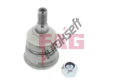 FAG ep ramene FG 825 0058 10, 825 0058 10