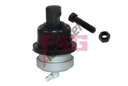 FAG ep ramene FG 825 0091 10, 825 0091 10
