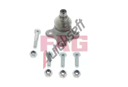 FAG ep ramene FG 825 0092 10, 825 0092 10