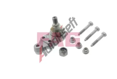 FAG ep ramene FG 825 0095 10, 825 0095 10