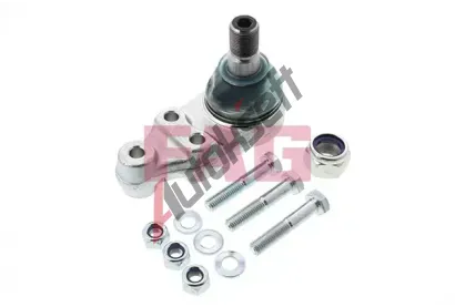 FAG ep ramene FG 825 0096 10, 825 0096 10