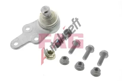 FAG ep ramene FG 825 0103 10, 825 0103 10