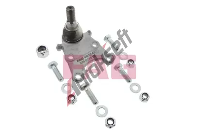 FAG ep ramene FG 825 0115 10, 825 0115 10