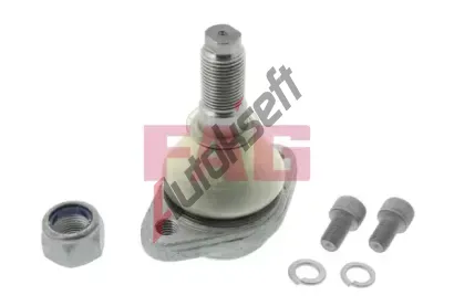 FAG ep ramene FG 825 0154 10, 825 0154 10