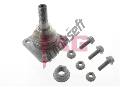 FAG ep ramene FG 825 0187 10, 825 0187 10