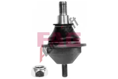 FAG ep ramene FG 825 0193 10, 825 0193 10