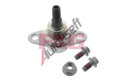 FAG ep ramene FG 825 0206 10, 825 0206 10