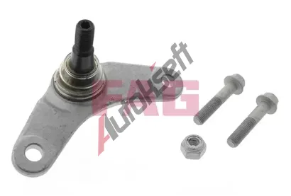 FAG ep ramene FG 825 0207 10, 825 0207 10