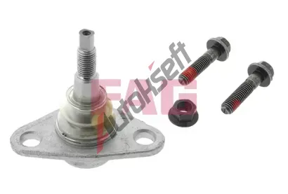 FAG ep ramene FG 825 0213 10, 825 0213 10