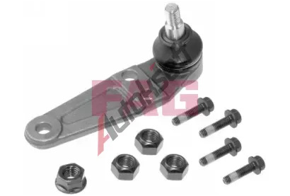FAG ep ramene FG 825 0216 10, 825 0216 10