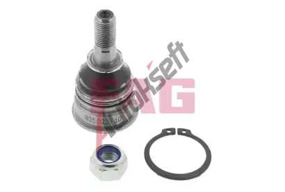 FAG ep ramene FG 825 0228 10, 825 0228 10
