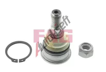 FAG ep ramene FG 825 0229 10, 825 0229 10