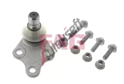 FAG ep ramene FG 825 0250 10, 825 0250 10