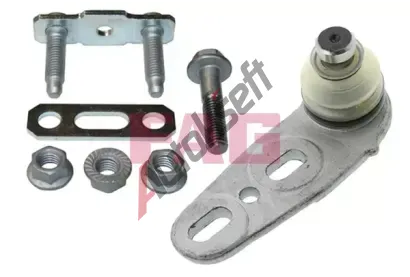 FAG ep ramene FG 825 0289 10, 825 0289 10