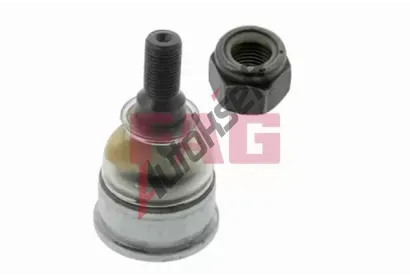 FAG ep ramene FG 825 0308 10, 825 0308 10