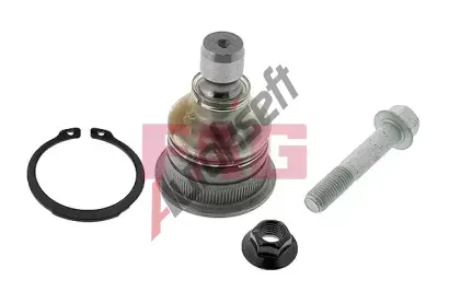 FAG ep ramene FG 825 0309 10, 825 0309 10