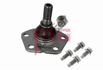 FAG ep ramene FG 825 0318 10, 825 0318 10