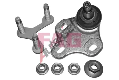 FAG ep ramene FG 825 0324 10, 825 0324 10