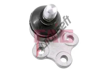 FAG ep ramene FG 825 0364 10, 825 0364 10