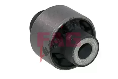 FAG Uloen dicho mechanismu FG 829 0613 10, 829 0613 10