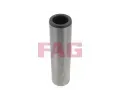 ep npravy, tlo npravy FAG ‐ FG 830 0042 30