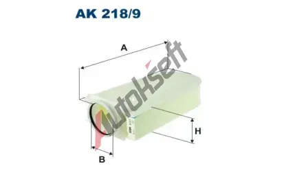 FILTRON Vzduchov filtr FI AK218/9, AK 218/9
