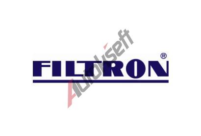 FILTRON Vzduchov filtr FI AP020/1, AP 020/1