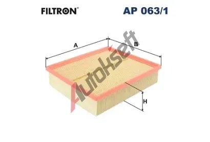 FILTRON Vzduchov filtr FI AP063/1, AP 063/1