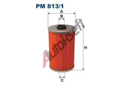FILTRON Palivov filtr FI PM813/1, PM 813/1