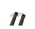 FAST Plynová vzpěra zavazadlového prostoru FST FT00190K, FT00190K