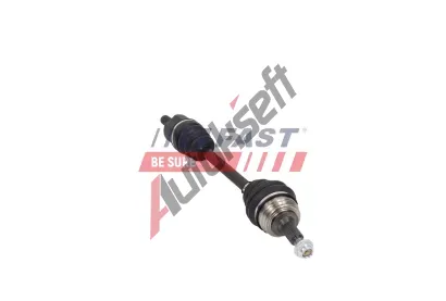 FAST Hnac hdel FST FT01749, FT01749