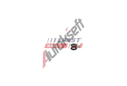 FAST Sada na opravu jednotky trysky �erpadla FST FT01835, FT01835