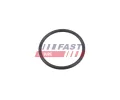 FAST P�idr�ovac� pru�ina, potrub� chladiva&nbsp;&dash;&nbsp;FST FT10368