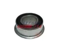 Pouzdro ulo�en� p���n�ho z�v�sn�ho ramena&nbsp;FAST&nbsp;&dash;&nbsp;FST FT18301