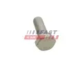 FAST roub brzdovho kotoue FST FT30601, FT30601