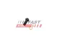 Dut� �roub&nbsp;FAST&nbsp;&dash;&nbsp;FST FT38931