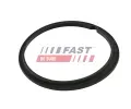 T�sn�n� sn�ma�e paliva&nbsp;FAST&nbsp;&dash;&nbsp;FST FT48502