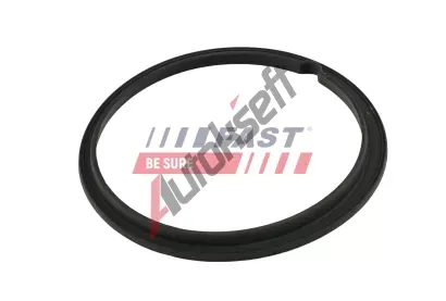 FAST T�sn�n� palivov�ho �erpadla FST FT48502, FT48502