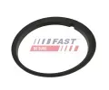 FAST T�sn�n� palivov�ho �erpadla FST FT48502, FT48502