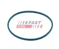 Tsnn vka palivov ndre FAST ‐ FST FT48504